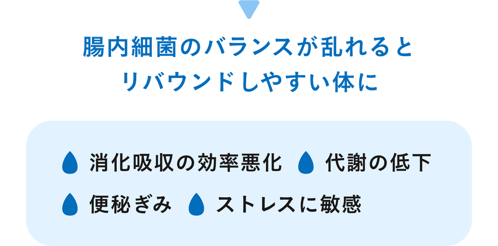 腸内細菌のバランスが乱れるとリバウンドしやすい体に